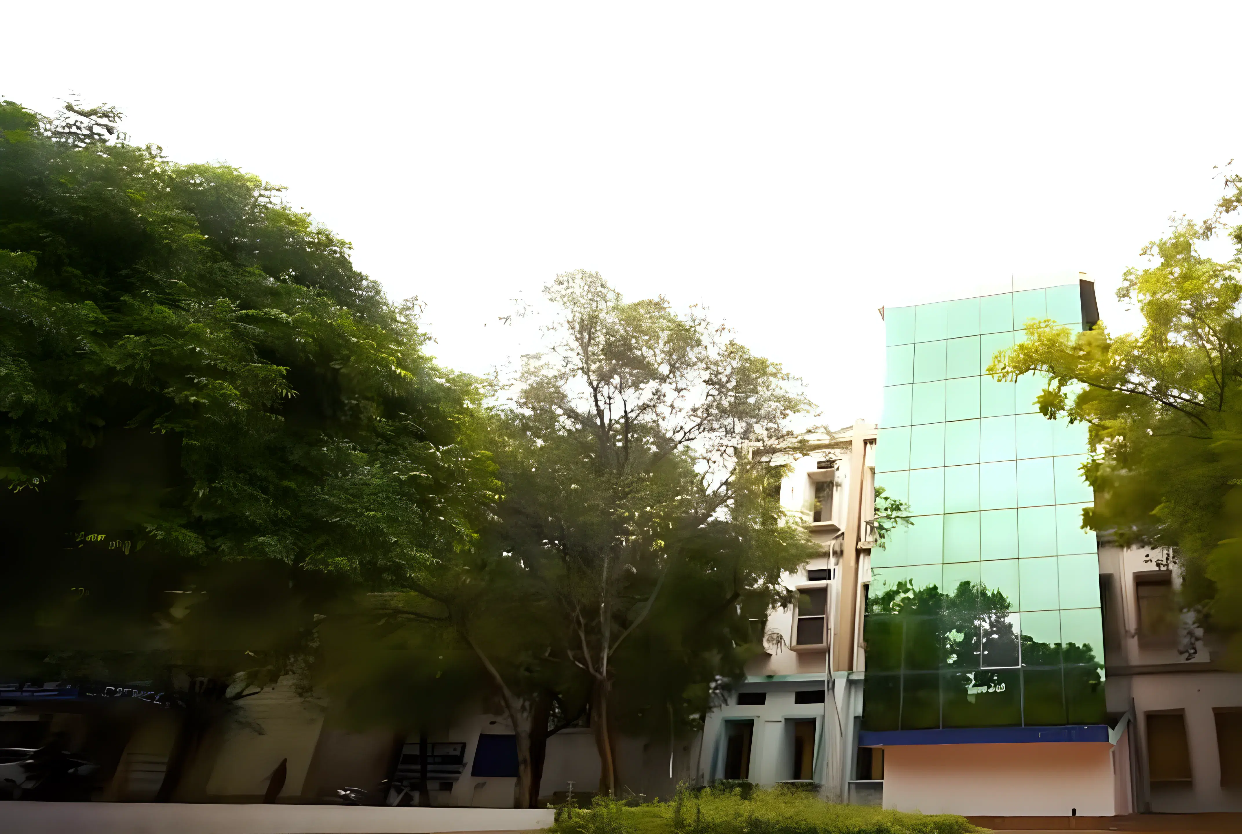 JNTUA College of Engineering Anantapur Campus photo 3